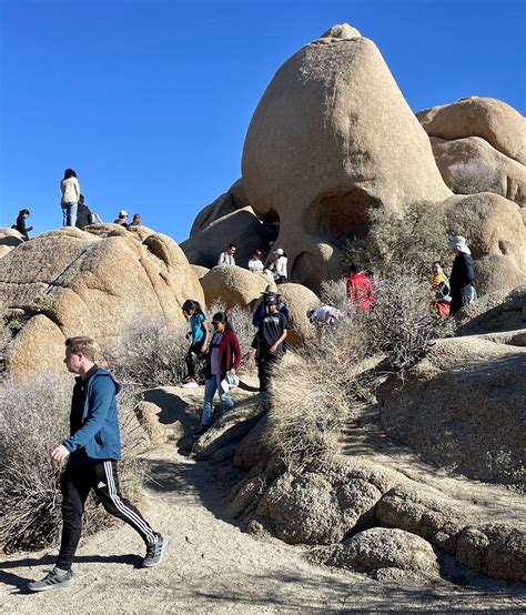 Visit To Joshua Tree National Park Is A Real Flashback The Spokesman