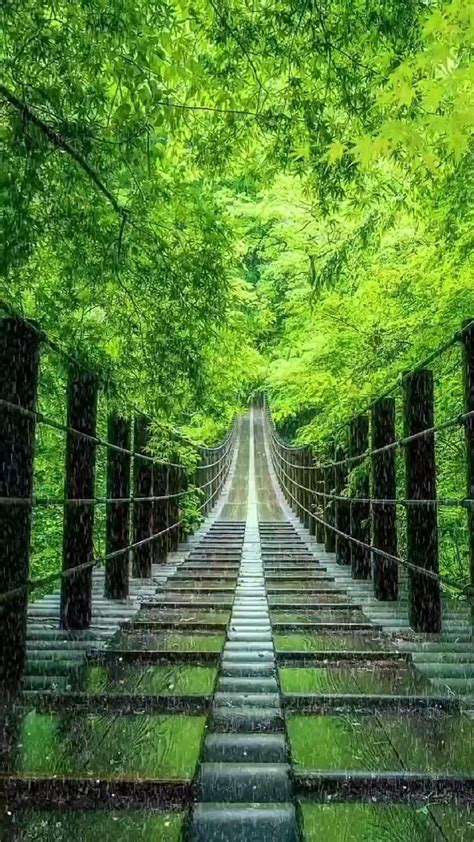 Hiking in the belgian ardennes 11 most beautiful walks you must do