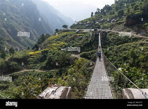 Suspension Bridge Nepal With Trekker Stock Photo Alamy