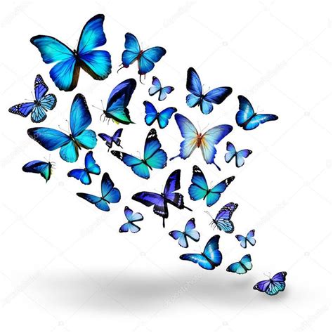 A Group Of Blue Butterflies Flying Together In The Air On A White