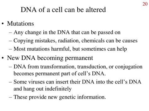 Ppt Molecular Genetics Of Bacteria Powerpoint Presentation Free