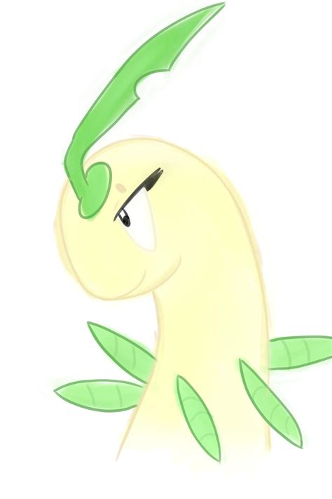 Bayleef By Miveep On Deviantart