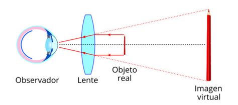 Evolución De Los Instrumentos De Observación De Células Y Moléculas