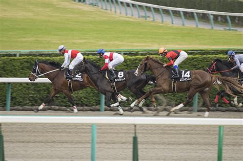 【キーンランドカップ2018】最終予想｜土曜の馬場傾向を踏まえて「あの馬」を本命に！ Skb（サラリーマン競馬予想ブログ）