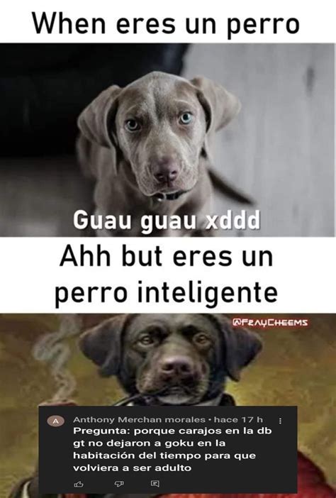 Pin De En Guardado R Pido Memes Divertidos Im Genes Graciosas