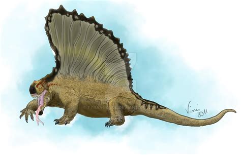 Dimetrodon By Tyrannosue On Deviantart