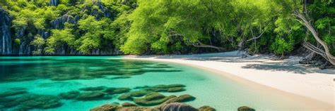 Coron Island Palawan: Secluded Beach Paradise