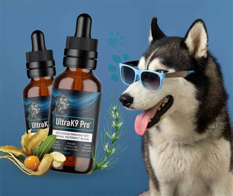 Ultra K9 Pro Reviews for Dogs [The 7 Undeniable Facts] | Kent Reporter