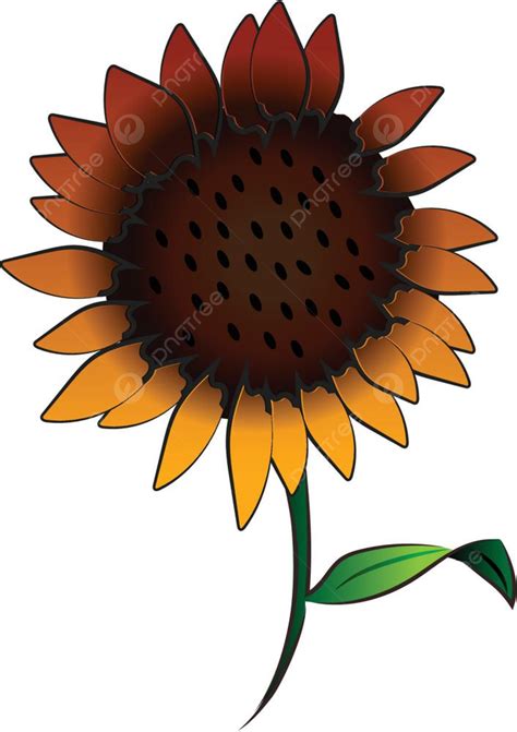 Sunflower With Stem Clipart Png Images A Big Sunflower With Green Leaf