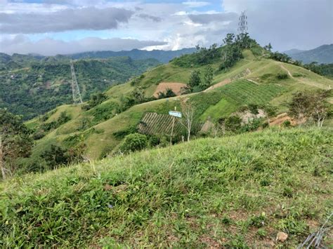 Busay Highlands 2 Farm Lot Resdential In Busay Sudlon 2 Cebu City