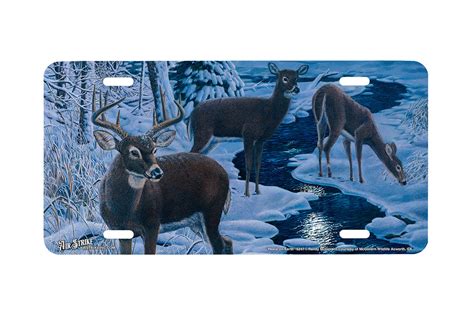Peace On Earth Decorative License Plate