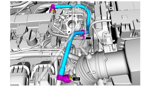 Ford Ecosport Removal And Installation High Pressure Fuel Pump Drive Unit Fuel Charging