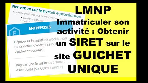 Tuto Lmnp Obtenir Un Siret Sur Guichet Unique Youtube