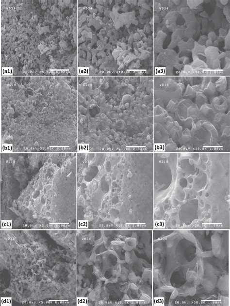 SEM Micrographs Of The NVP Samples Prepared By A1 A2 And A3 CTAB1