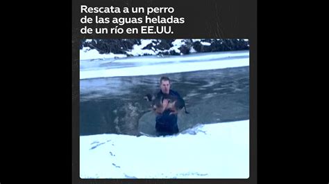 Un hombre salva a un perro de un río helado en EE UU