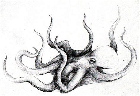 113 Best Images About Octopuses On Pinterest The Octopus Ink And