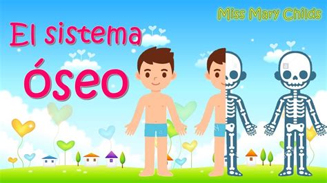 sistema óseo para niños YouTube