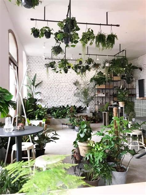 Indoor Plants Decor Ideas Window Hanging Plants Ideas Window Decor With