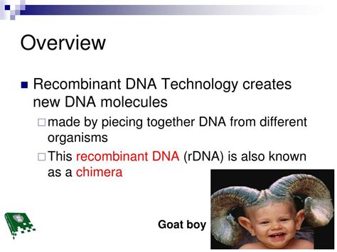 Ppt Recombinant Dna Technology Powerpoint Presentation Free Download