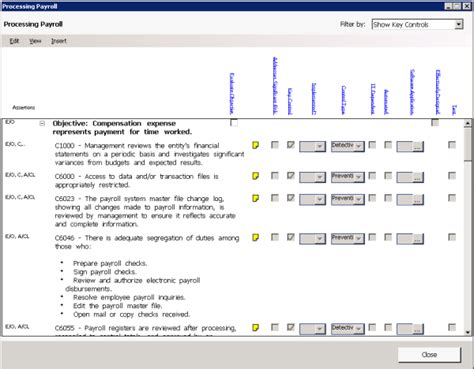 Control Activities Form