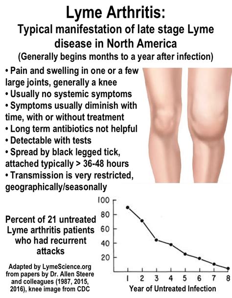 About Lyme Arthritis | LymeScience