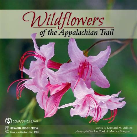 Wildflowers of the Appalachian Trail | Harpers Ferry Park Association