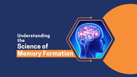 Understanding The Science Of Memory Formation