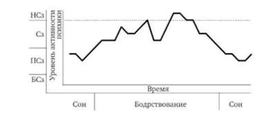 Особенности психических состояний в спорте - Спортивная психология