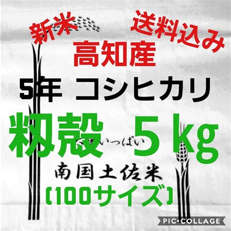 令和5年産 高知県産 新米 コシヒカリ 籾殻 5㎏ 袋込み ：高知県産のコシヒカリ｜食べチョク｜産地直送 産直 お取り寄せ通販 農家・漁師から旬の食材を直送