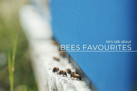 Lets Talk About Bees Favourites Edinburgh Honey Co