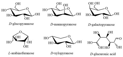 Hemicellulose Structure