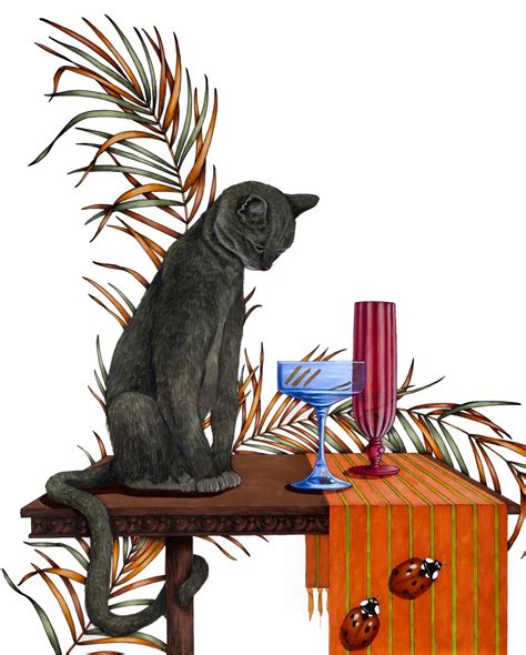 Champagne Cat Studio Selburg