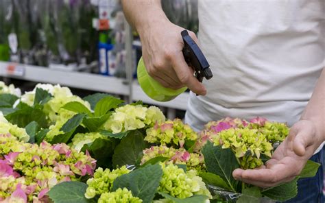 Horticulture The Science And Art Of Plant Cultivation For A Better World