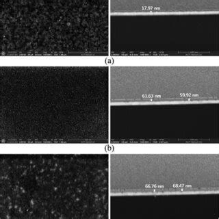 Sem Images Of The Surface Left Column And Crosssection Right