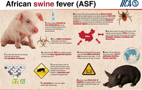 African Swine Fever Legacy Ias Academy