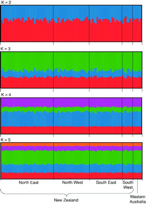 Bayesian Structure Analysis Of Gray S Beaked Whale M Grayi