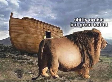 noahgettheboat memes memedroid