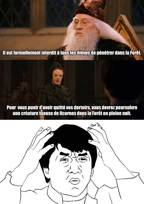 18 blagues que tous les fans d Harry Potter apprécieront Harry potter