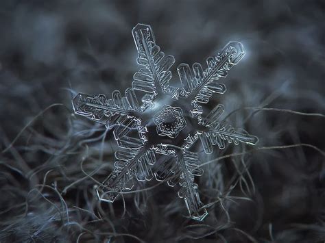 Stunning Macro Details Of Uniquely Beautiful Snowflakes With An