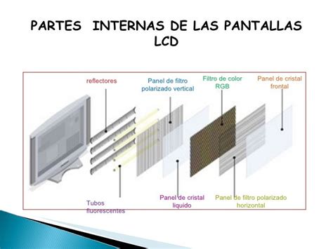 Exposicion De Monitores