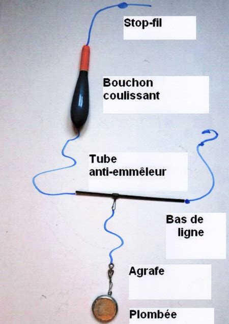 Montage Pour P Cher Le Sandre Et La Perche