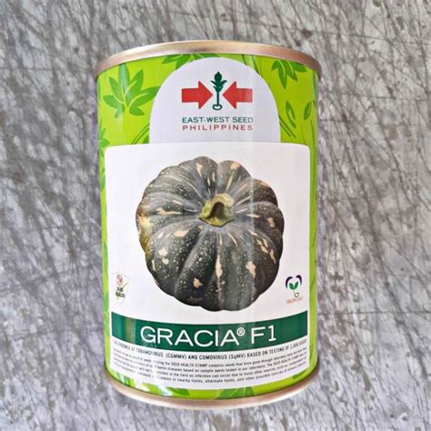 GRACIA F1 50 GRAMS HYBRID PUMPKIN CALABASA SEEDS KALABASA By EAST