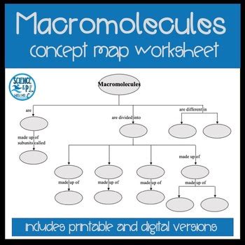 Macromolecules Worksheet Concept Map Pdf And Google Slides Tpt