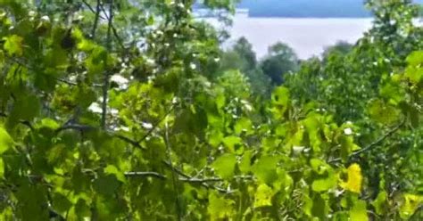 Zac Naked Ass Markus Naked Porn Star Why