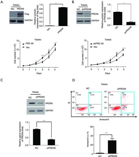 Effect Of Prdx6 On Toledo Dlbcl Cells Growth A Prdx6 Flag Prdx6 Download Scientific Diagram