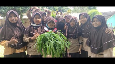 Pembelajaran Terintegrasi Tdba Menanam Kangkung Memanen Dan Memasak