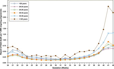 Pregnancy After Stillbirth Statistics