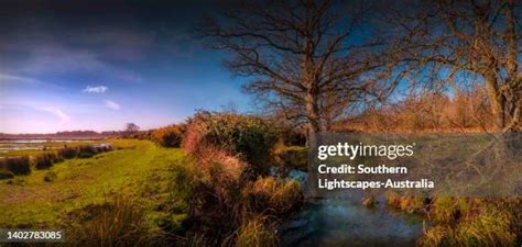 17 Holton Heath Stock Photos High Res Pictures And Images Getty Images