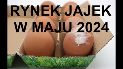 Odcinek 1311 RYNEK JAJEK MAJ 2024 YouTube