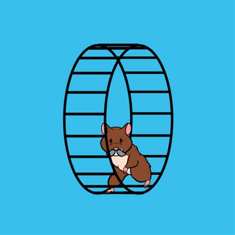 Awasome Animated  Hamster Wheel  2022